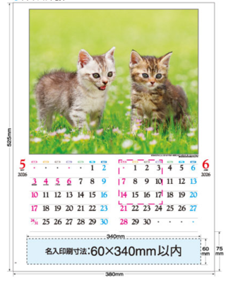 H　かわいい猫（1色印刷代込み）