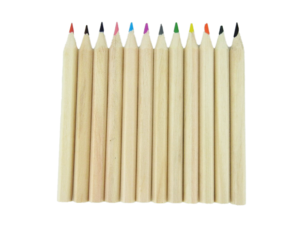 カラフルな12色の色鉛筆が紙筒に入っています。