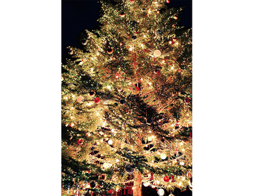 クリスマスタペストリー　ホーリーナイトツリー