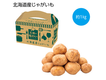 大地の味わい 北海道産じゃがいも 約1kg（Mサイズ8〜14個）