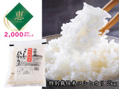 恵　島根県出雲市産特別栽培米こしひかり2kg