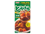 【3等】とろけるカレー90g(中辛)