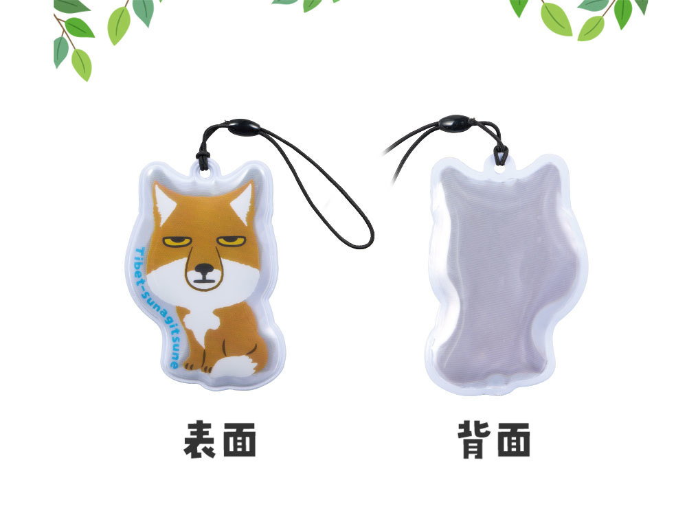 表面・裏面