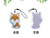 表面・裏面