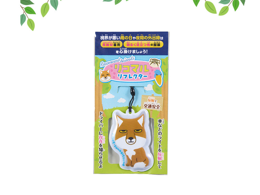 パッケージ外観です