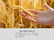 素材について