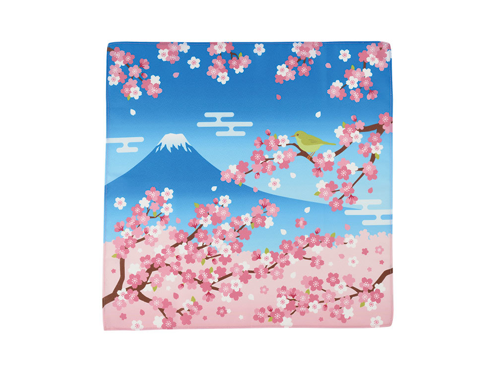 サイズ：約50×50cm