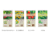 4種（指定不可）