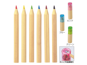 ケース入り色鉛筆6色セット（シャープナー付き）