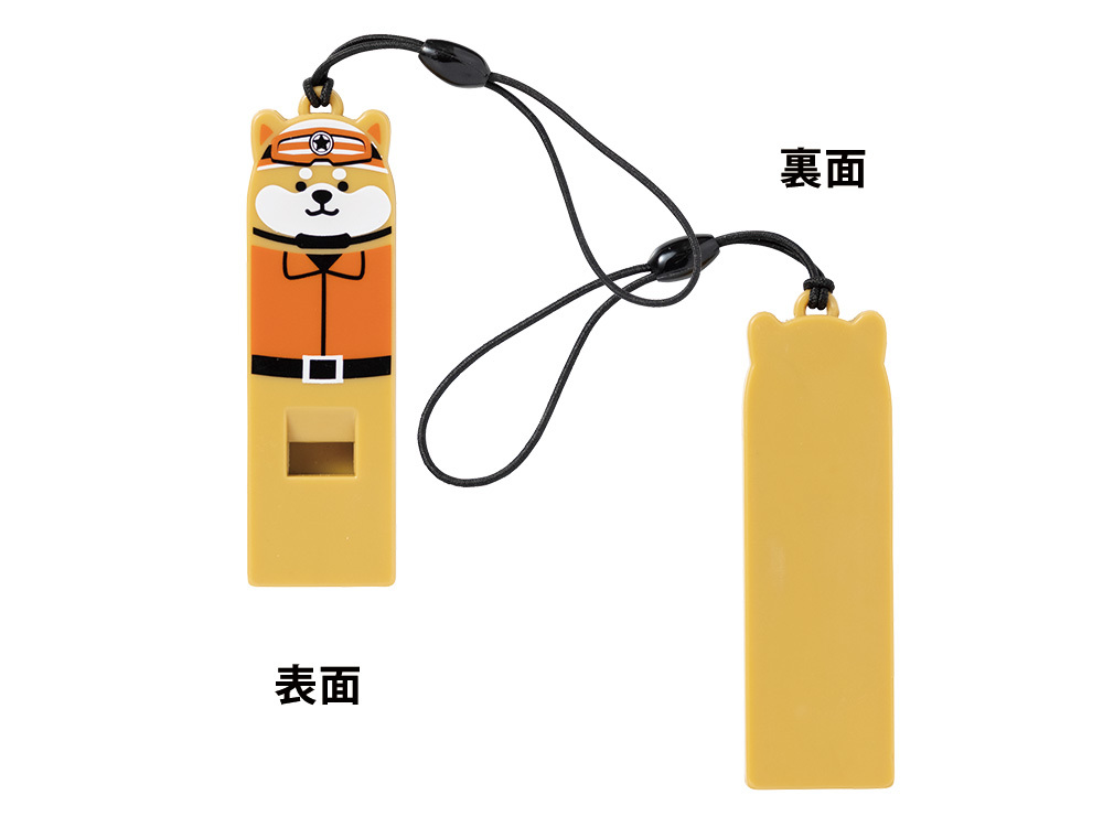本体表面・裏面