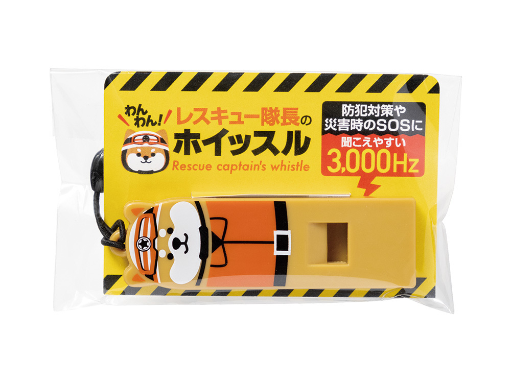 パッケージ外観です