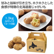 北海道産じゃがいも (男爵)  約1.3kg