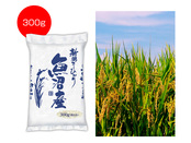 新潟魚沼産こしひかり300g