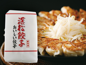 静岡浜松餃子 45個入