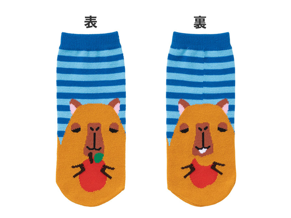 カピバラ