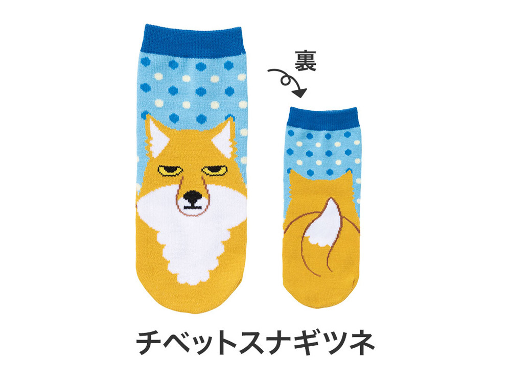 チベットスナギツネ
