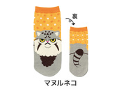 マヌルネコ