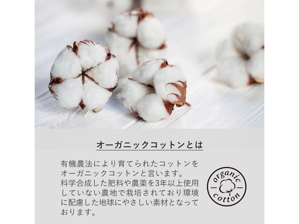 オーガニックコットンについて