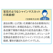 レビュー