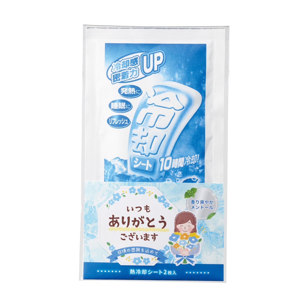熱冷却シート2枚入