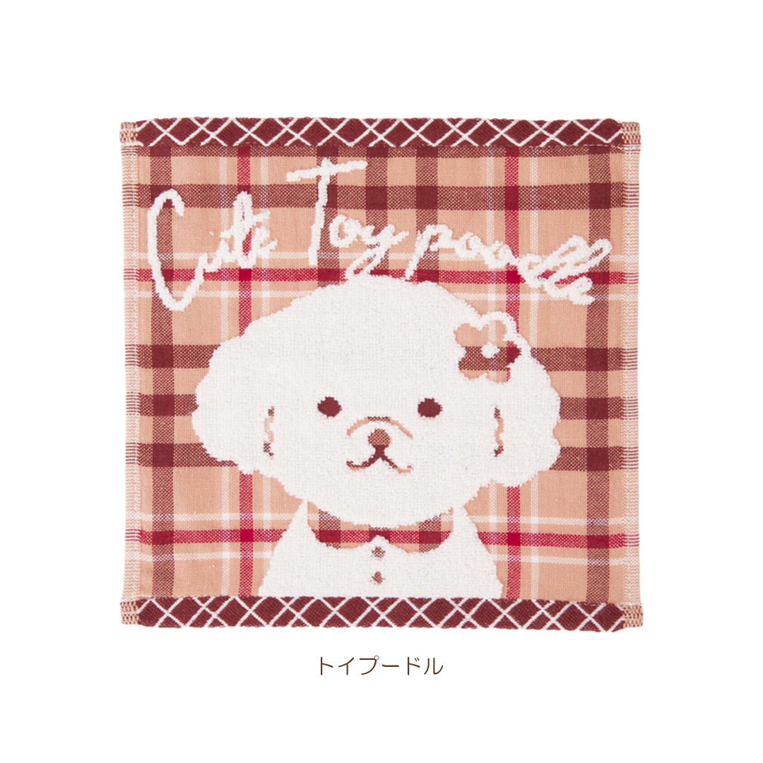 トイプードル