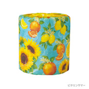パッケージ（ビタミンサマー）