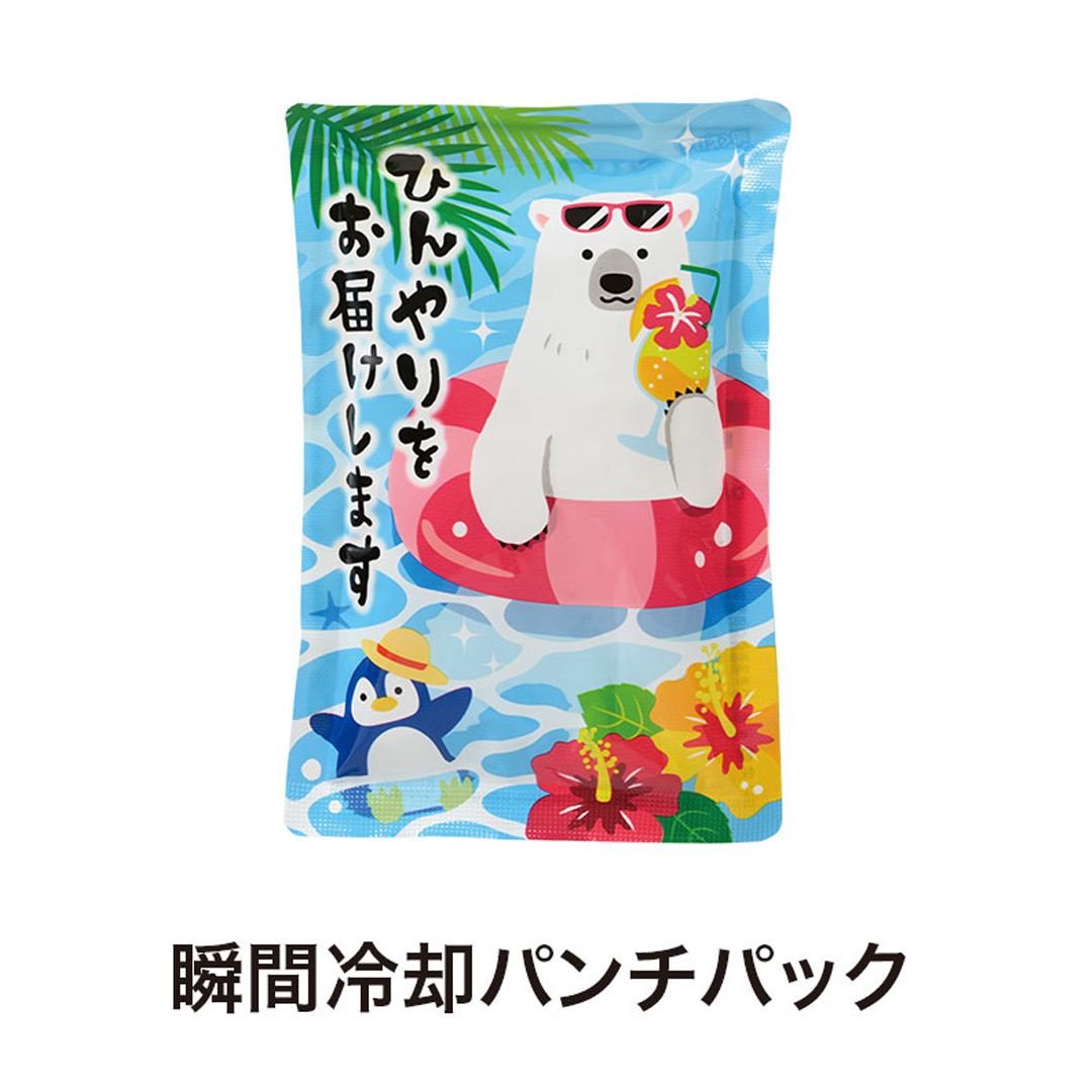 瞬間冷却ハンディパック
