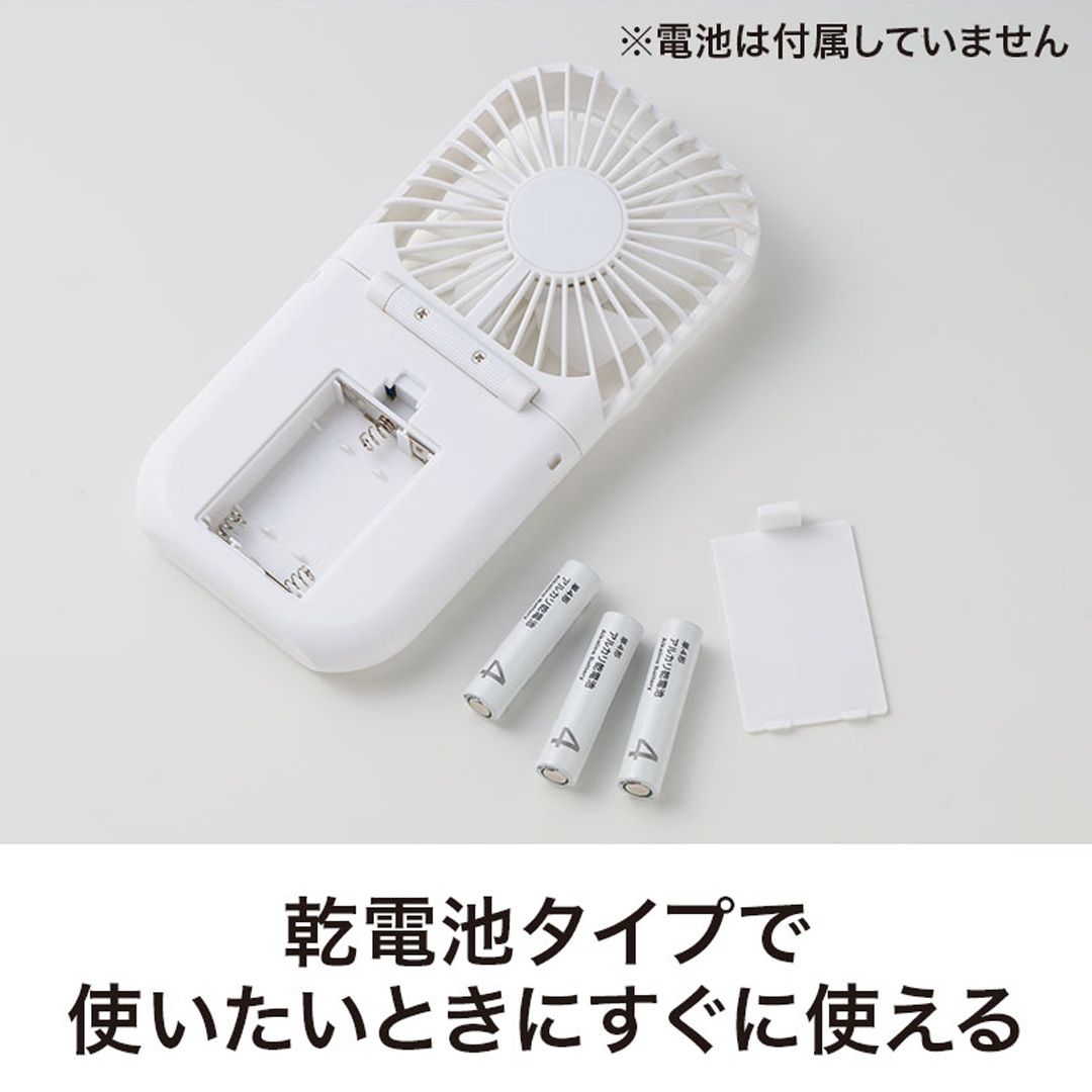 乾電池タイプ
