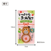 パッケージサイズイメージ
