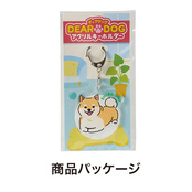 パッケージイメージ