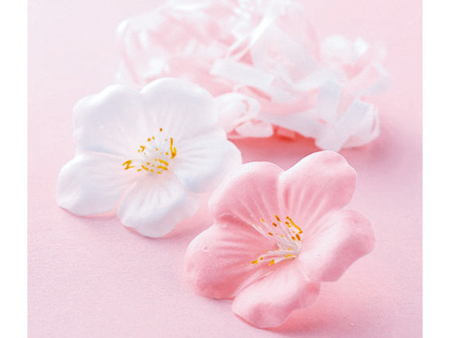 かわいい桜の花びらの形のフラワーソープです。