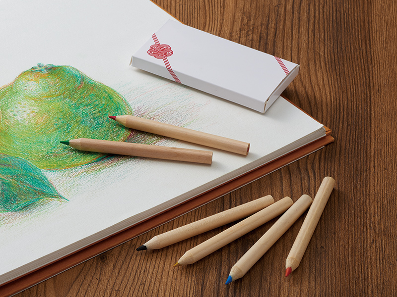 6色の色鉛筆がセットされています。