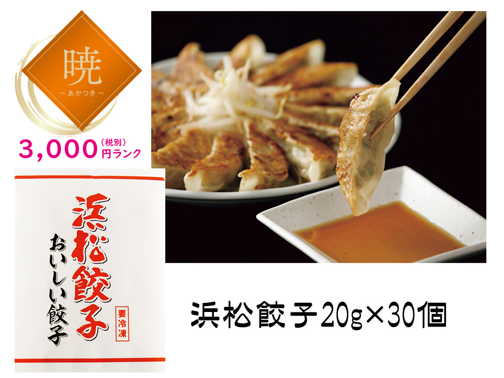 【完売】【暁】特選浜松餃子