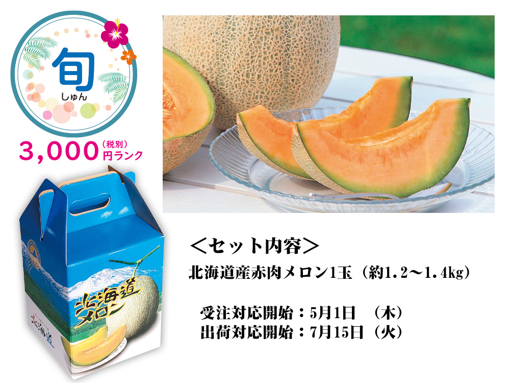 【完売】【旬】北海道赤肉メロン 1玉