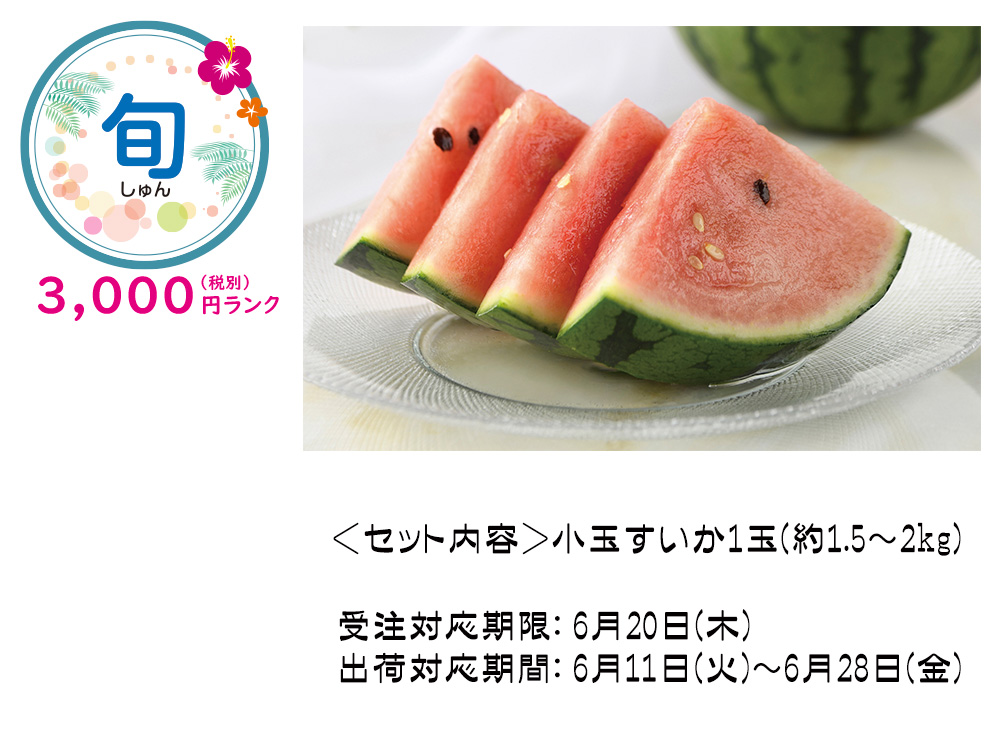 【完売】【旬】小玉すいか 1玉