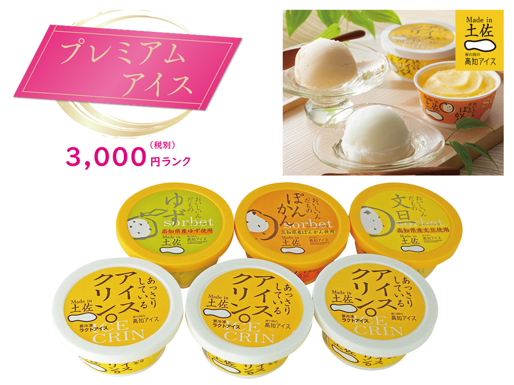 【完売】【プレミアムアイス】Made in 土佐「南の国の高知アイス」