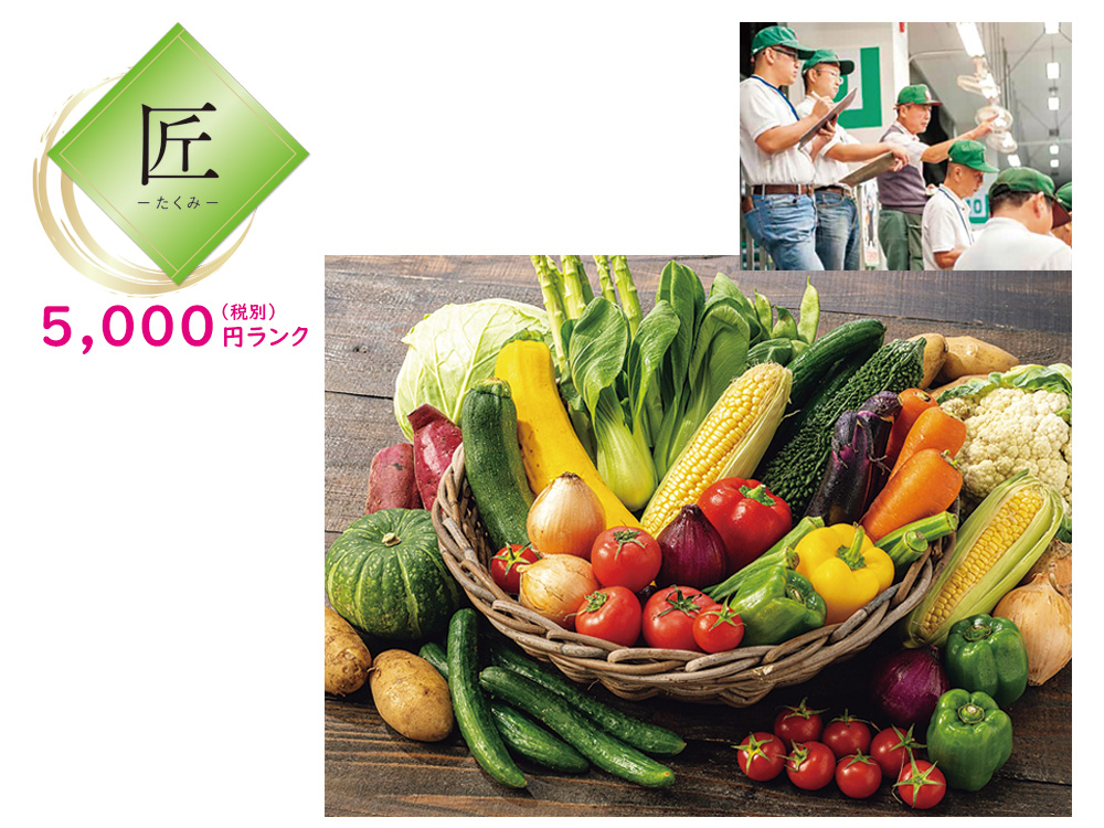 【完売】【匠】匠の選んだお野菜