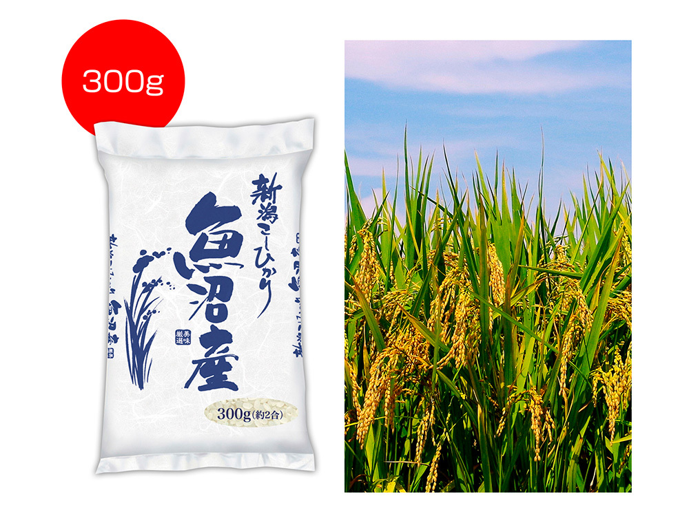 新潟魚沼産こしひかり300g