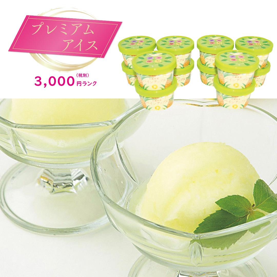 【完売】【プレミアムアイス】~果実の便り~ 沖縄パインシャーベット12個