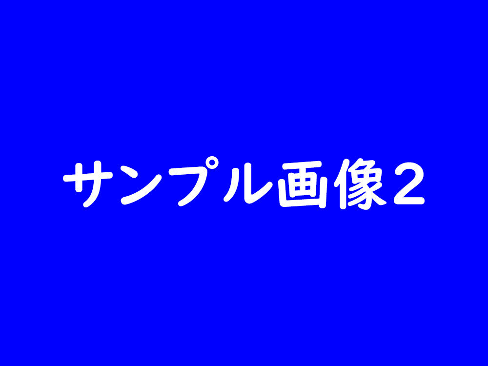 【完売】サンプル＿２