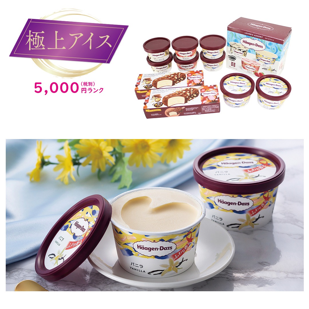 【極上アイス】ハーゲンダッツ スペシャルセット