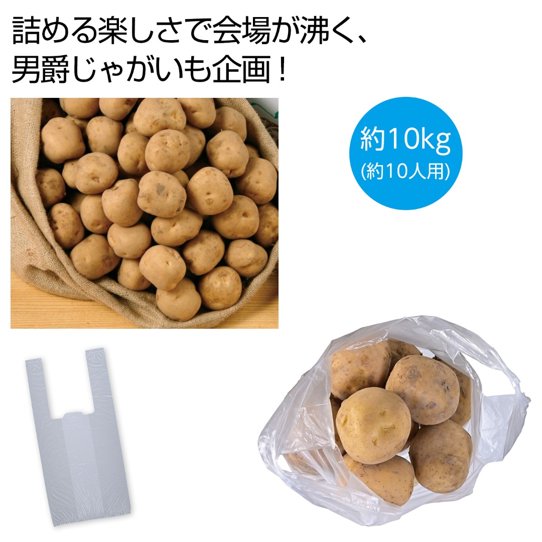北海道産男爵じゃがいも詰め放題キット 10kg（約10人用）