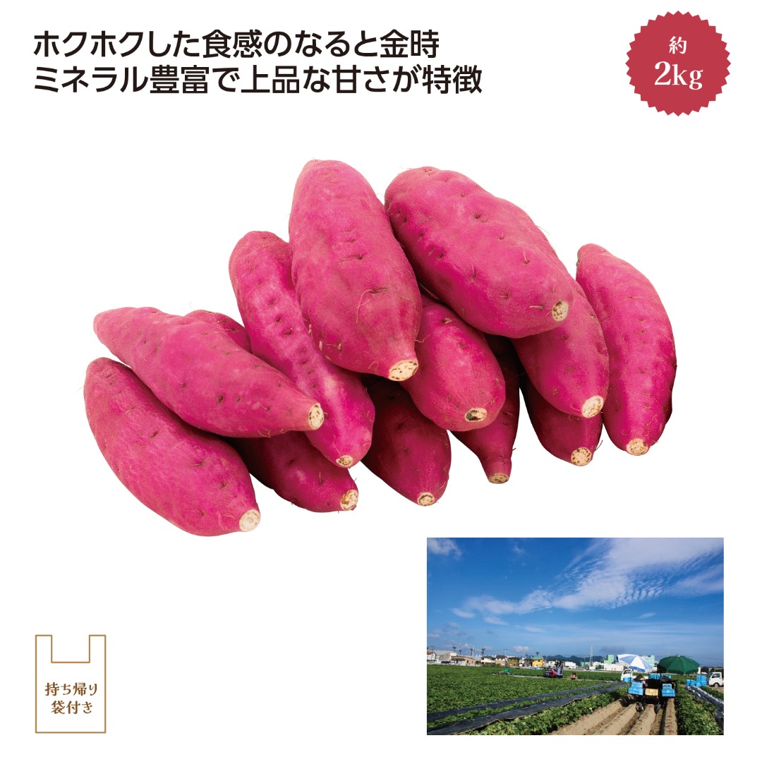 鳴門里浦産「吉岡さんちのなると金時」M2kg