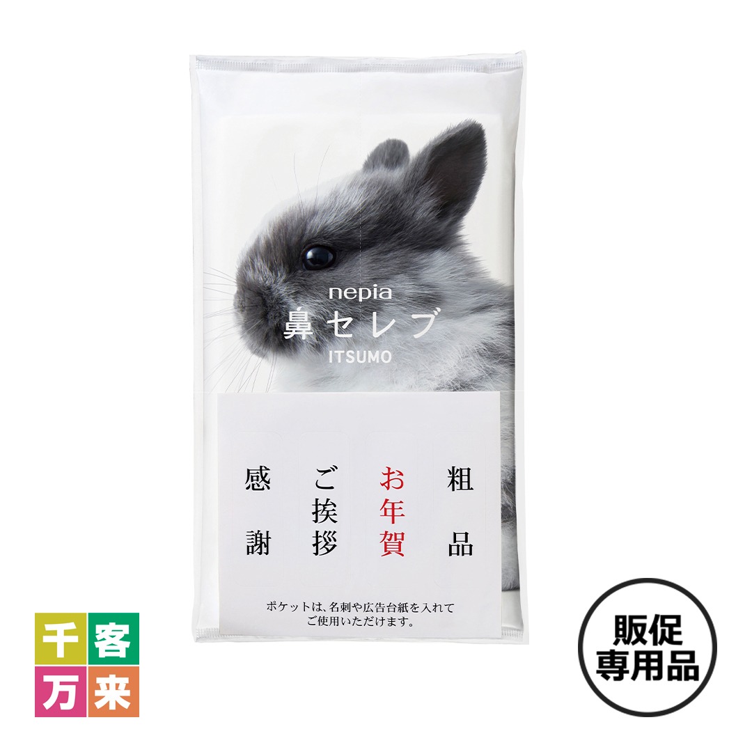 ネピア 鼻セレブ ITSUMO48W（名刺ポケット付）