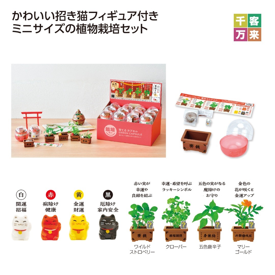 育てるカプセル 賽銭招き
