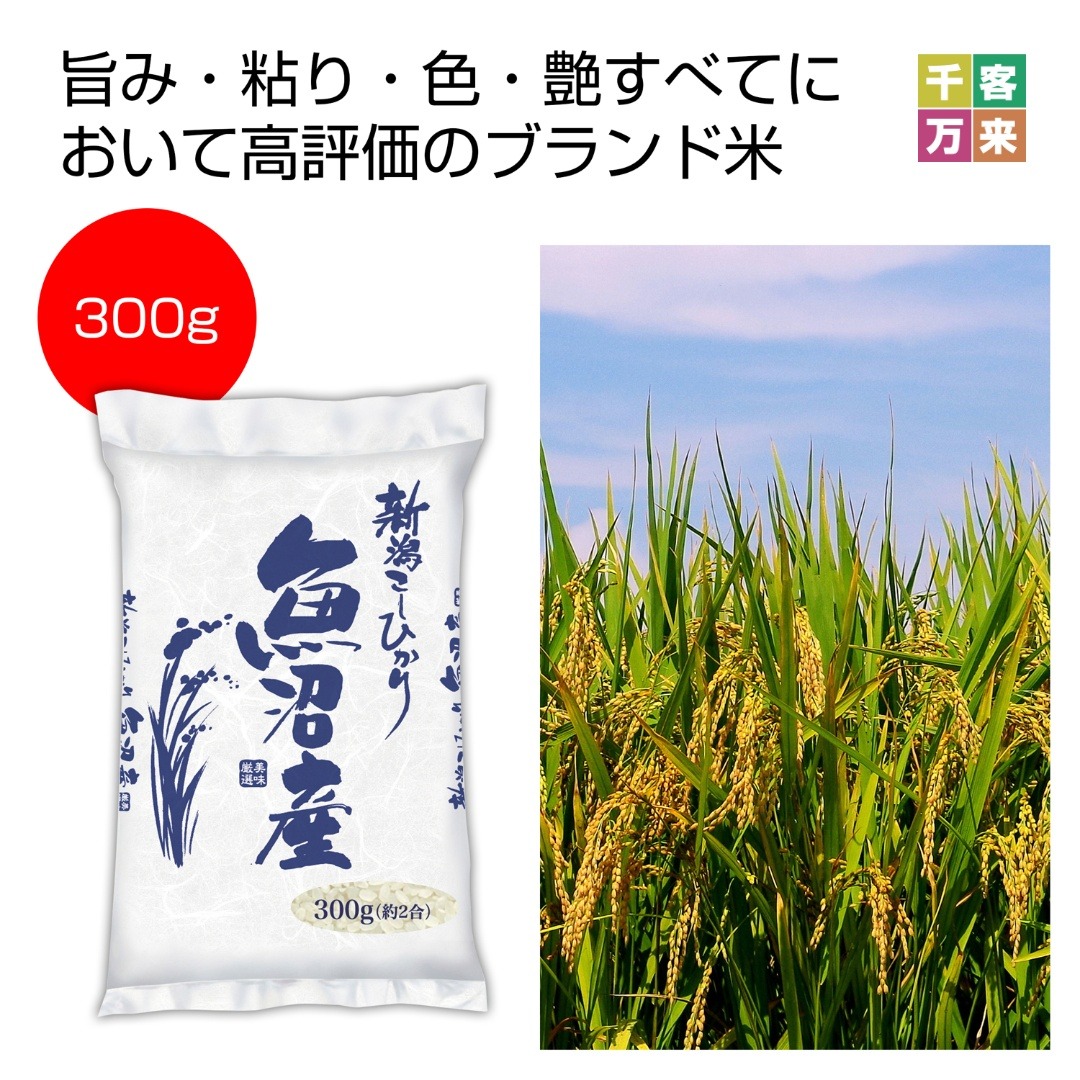 新潟魚沼産こしひかり300g