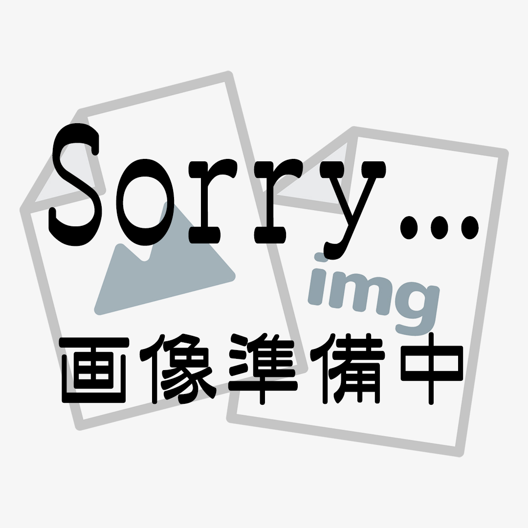 【欠品】お菓子サンタブーツ(L)
